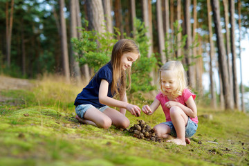 Two adorable little sisters hiking in a forest