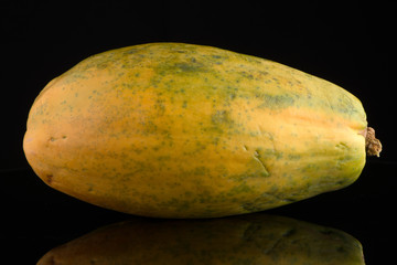 Papaya fruit on black background