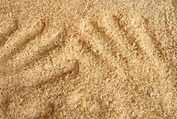 Integral uncooked brown rice with handprints