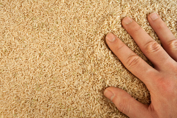 Integral uncooked brown rice with right hand