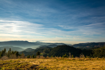 Schwarzwald - Zuflucht