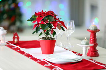 Christmas flower poinsettia on table, on lights background