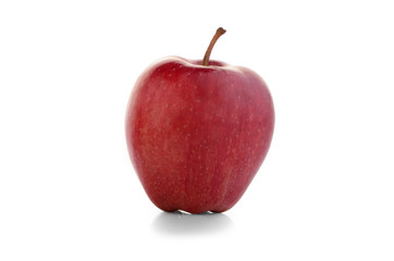 red apple on a white background