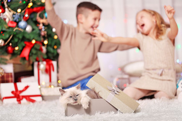 Obraz na płótnie Canvas Happy children and fluffy cat in a box in the decorated Christmas room