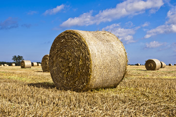 Hay Bales - Landscape of Nature