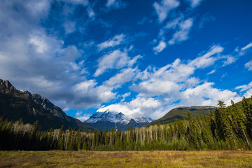Mount Robson