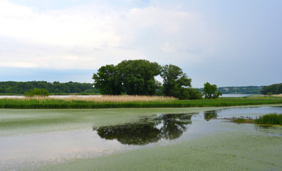 reflection on the Eerie Canal