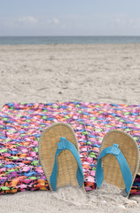 Beach Scene with Multi Color Towel
