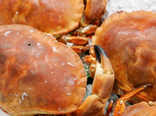 The close up of crab pincer of sea crab on ice at fish market. © Phasuthorn Design
