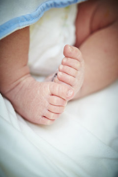 Baby's foot