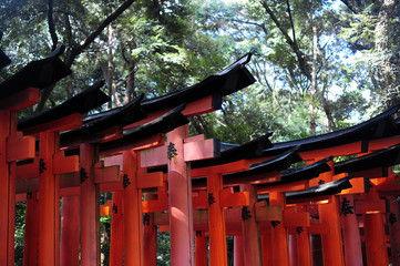 Fushimi Inari-taisha-59