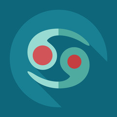 Flat modern design with shadow icons cancer 