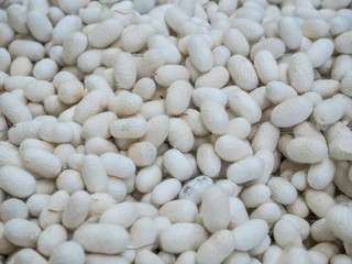 Silkworm Cocoons
