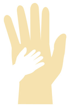 Adult's Hand and Baby's Hand 
