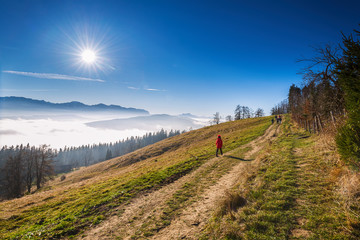 Blick vom Honger zum Traunstein