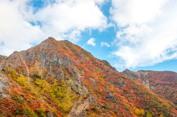 Mt.Nasu,tochigi,tourism of japan autumn