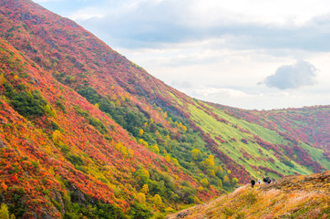Mt.Nasu,tochigi,tourism of japan autumn