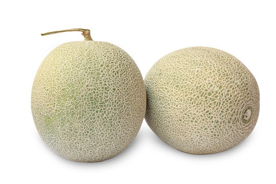 cantaloupe melons