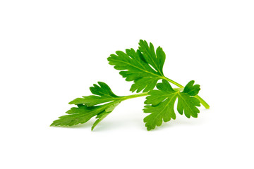 parsley isolated on white