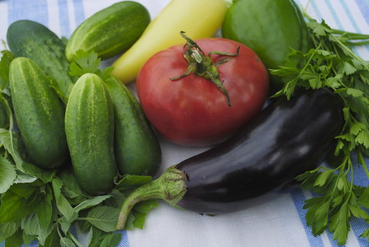 cucumber, tomato, eggplant, pepper, mint, parsley, vegetable