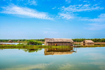 The farm houses in Can Gio district of Hochiminh city, Vietnam.