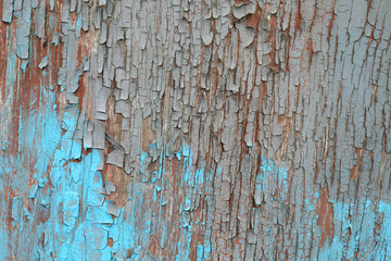 cracked gray paint on old plywood. background.