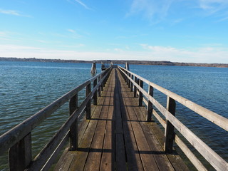 Obraz premium OLYMPUS DIGITAL CAMERA