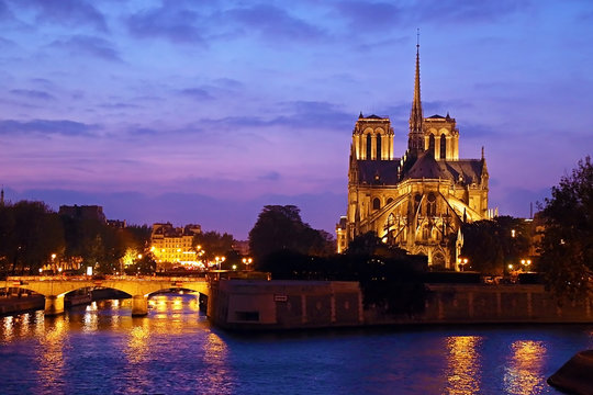 Fototapeta Notre Dame de Paris at night