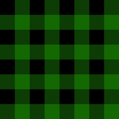 Lumberjack plaid pattern vector