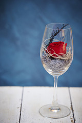 Rose in a glass