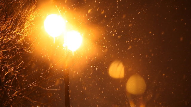 snowing winter night and shine lights