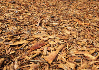 Fresh Wood Chips with Endless Perspective Background