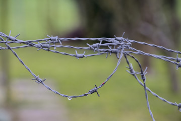 Stacheldraht mit Wassertropfen