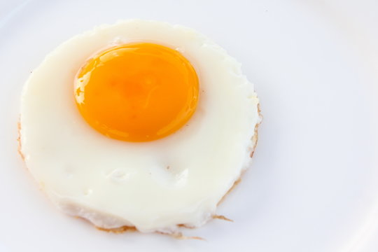 Fried egg on white plate