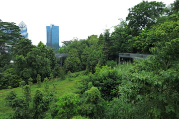 Obraz premium Wandern durch Baumwipfel in den Southern Ridges, Singapur