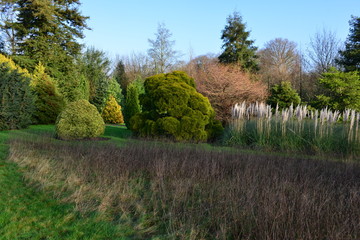 Obraz premium An English country garden in winter time. 