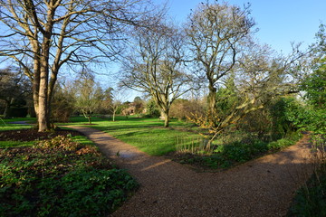 Fototapeta na wymiar An English country garden in Winter.