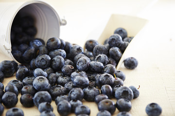 Blueberry