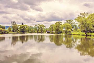 Nature landscape with a pond