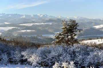 Widok na pieniny,zalew czorsztyński i zamek © jaworex