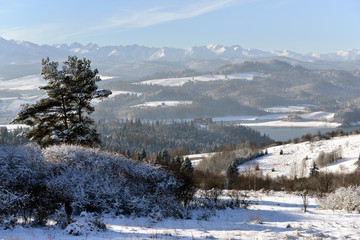 Widok na pieniny,zalew czorsztyński i zamek © jaworex