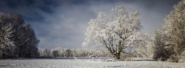 Papier Peint photo Hiver Panoramic Pristine Winter Scenery. Panoramic and pastoral scene blanketed by fresh fallen snow showcasing the frigid beauty of winter. Yale, Michigan.
