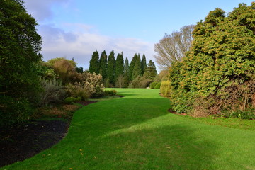 An English country garden in Winter.