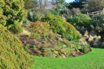 An English country garden in Winter.