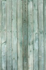green fir planks texture