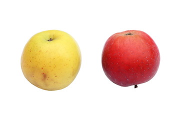 two apples on white