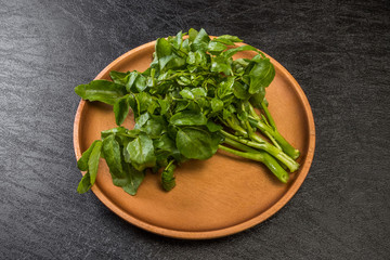 鶏なべちゃんこ　Chicken sumo wrestler's stew Japanese food
