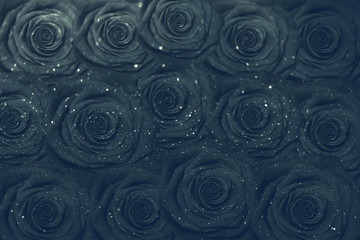 black roses background