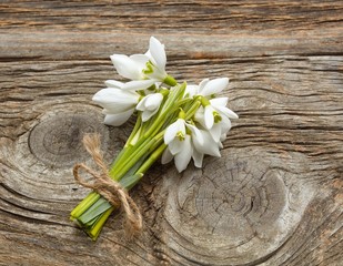 snowdrops on wooden background