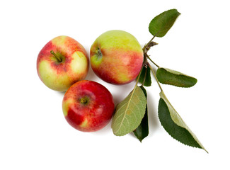 apples with leafs